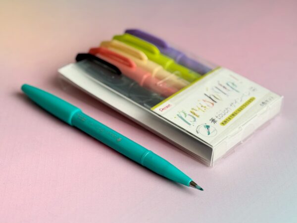 Set Pentel Touch Brush Up