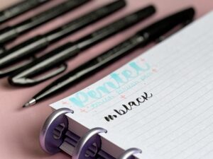 Pentel Touch Brush