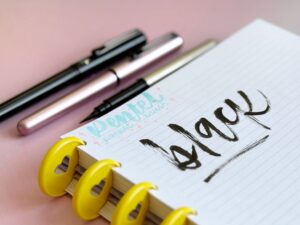 Pentel Pocket Brush